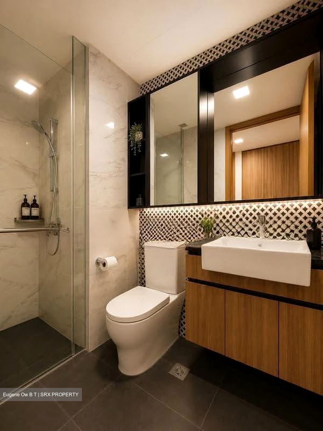 The Verandah Residences (D5), Apartment #607448501